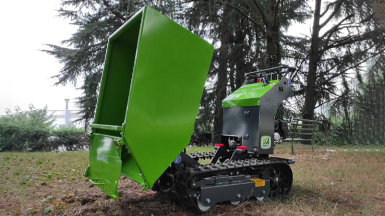 Motocarriola cingolata