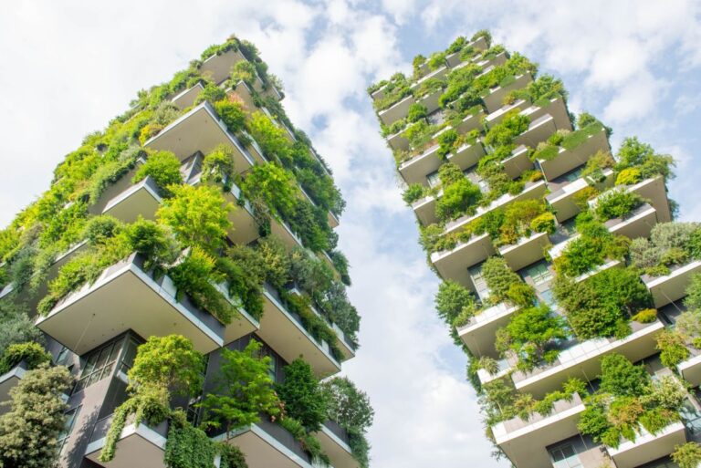 Quale attrezzatura serve per i giardini verticali? 9 Giardini verticali